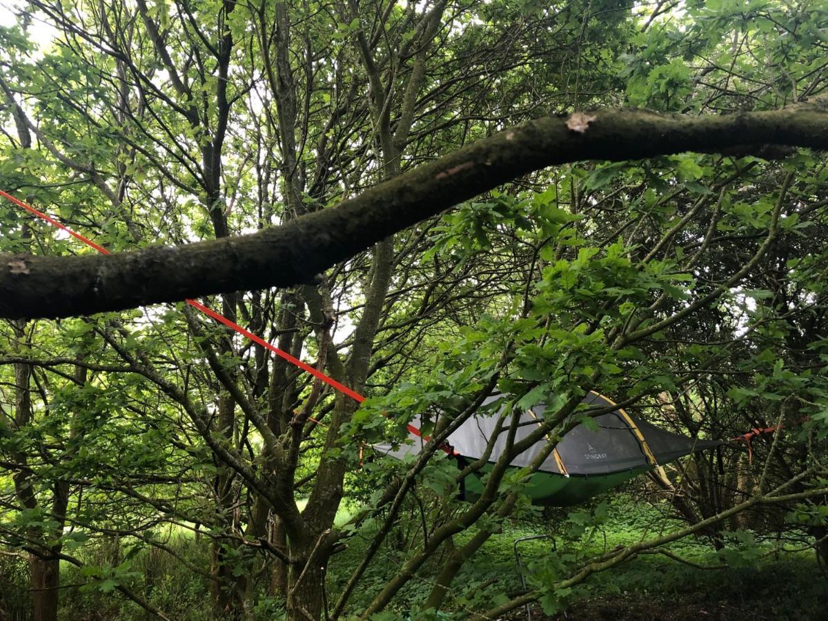 Naturecamp Cuxhaven Eksteriør billede